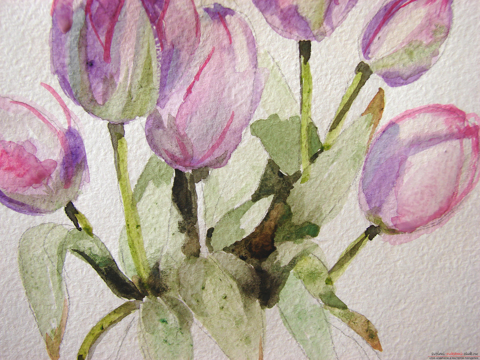 Мастер-класс по рисованию с фото научит как нарисовать цветы, подробно описав как рисуются тюльпаны поэтапно.. Фото №14
